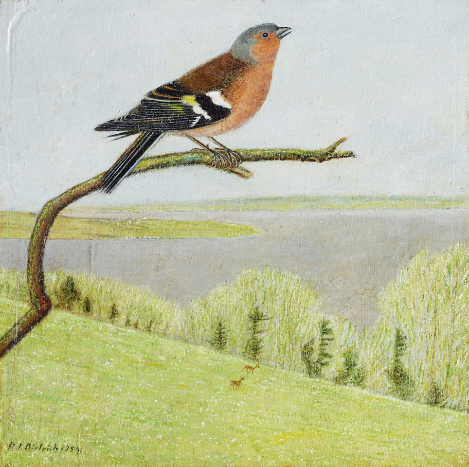 Buchfink auf kahlem Ast by Adolf Dietrich