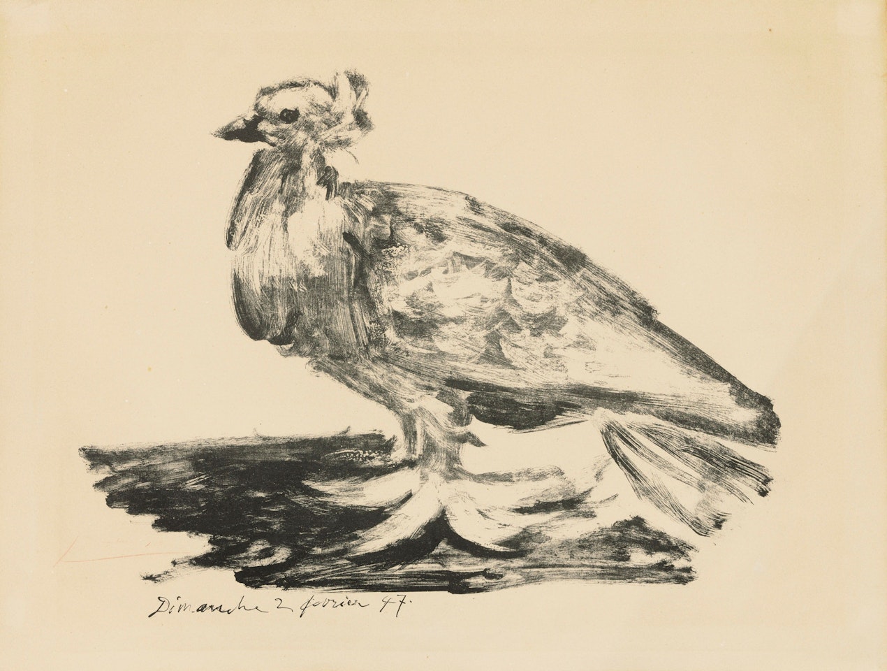 Le gros pigeon by Pablo Picasso