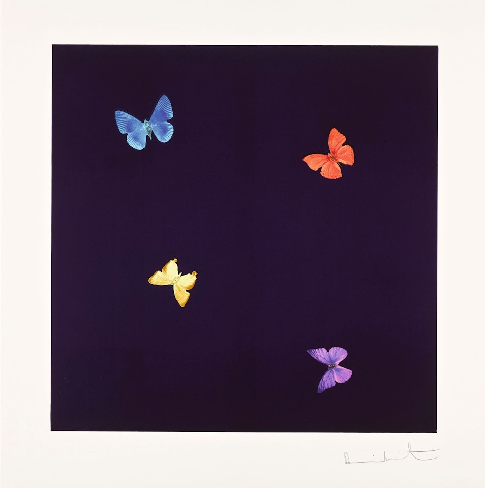 TO A STRANGER by Damien Hirst