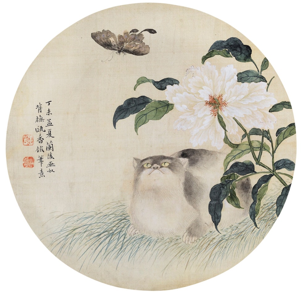 CAT GAZING A BUTTERFLY by Feng Chaoran