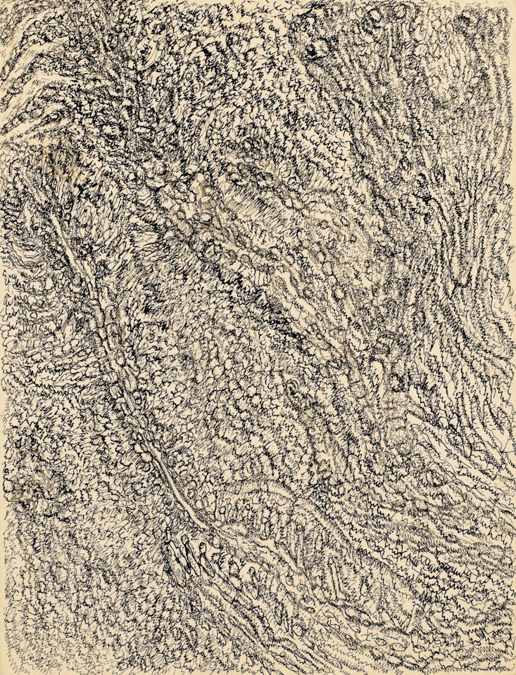 DESSIN MESCALINIEN by Henri Michaux