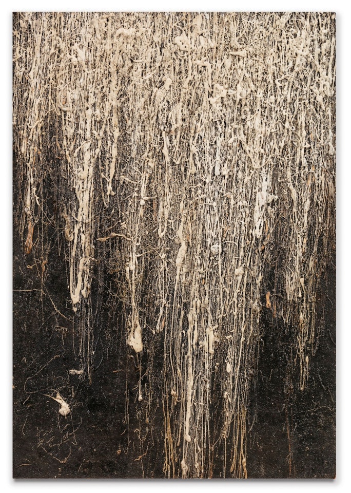 UNTITLED by Christo