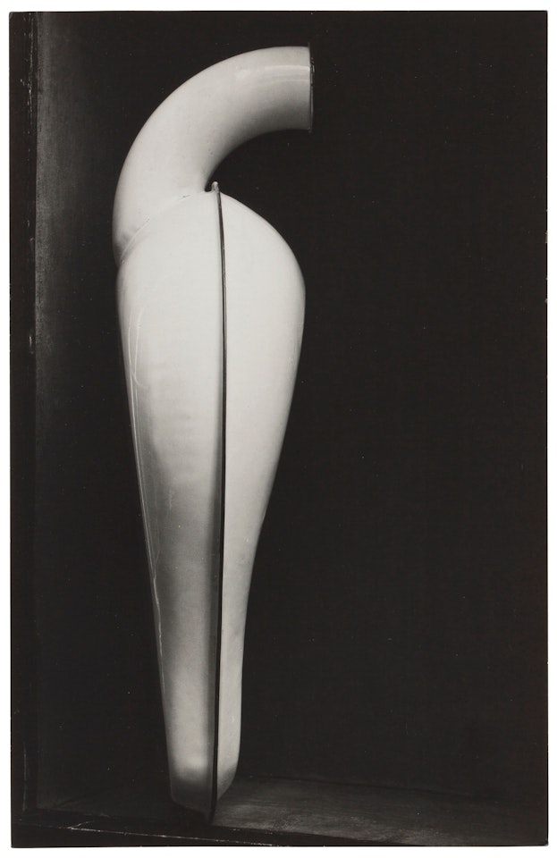 Bedpan by Edward Weston