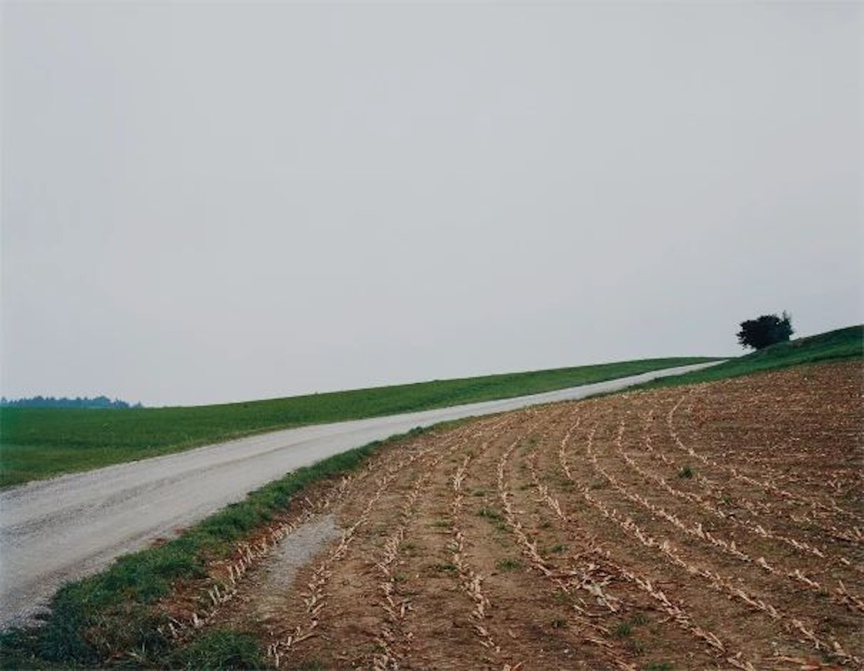Mais-Acker, No. 22, Winterthur by Thomas Struth