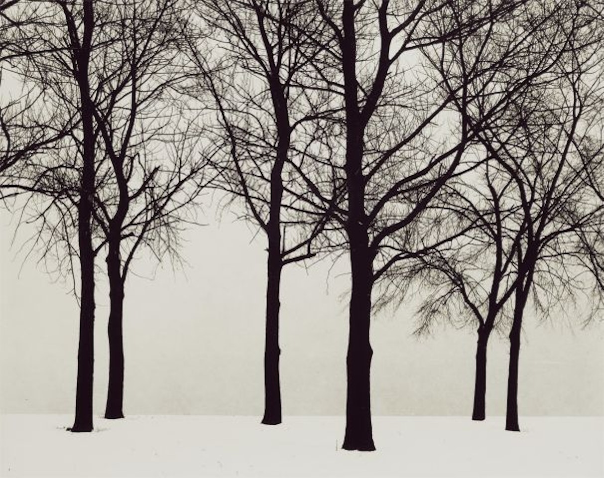Chicago by Harry Callahan