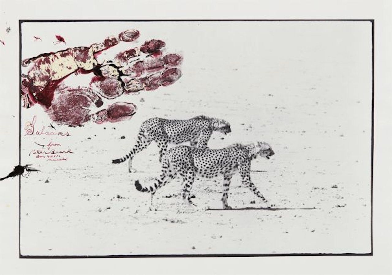 Two Cheetahs hunting for the End of the Game/Last Word from Paradise by Peter Beard