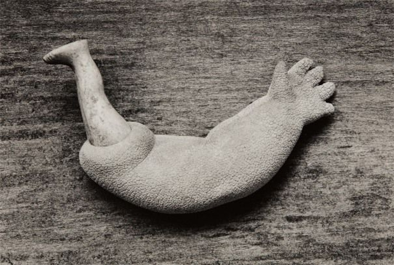 Ondine by Frederick Sommer