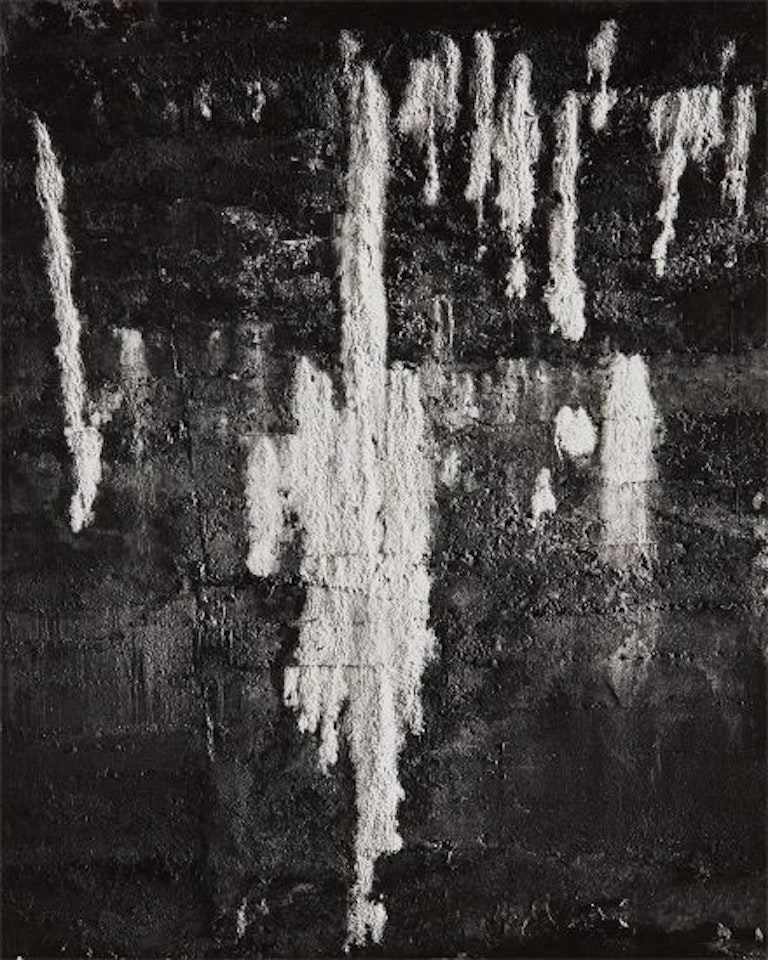 The Wall by Frederick Sommer