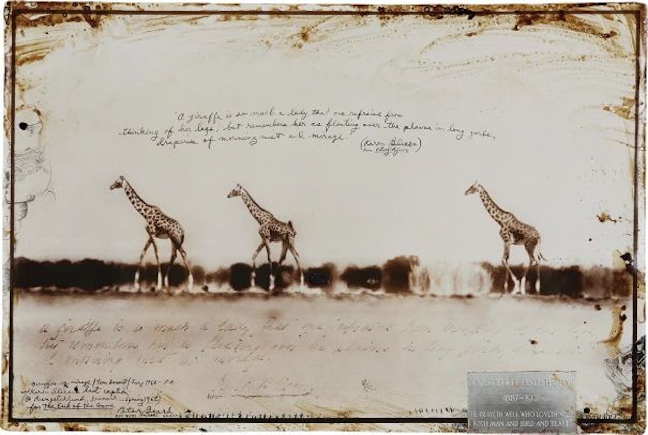 Giraffes in Mirage on the Tara Desert Kenya for the End of the Game/Last Word from Paradise by Peter Beard