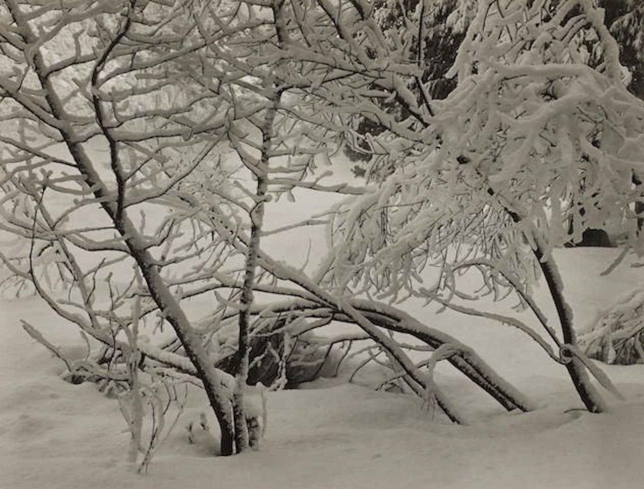 Winter, Yosemite by Ansel Adams