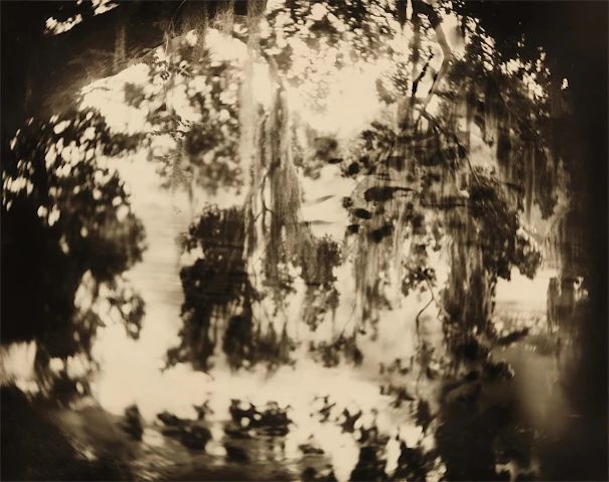 Untitled from Deep South by Sally Mann