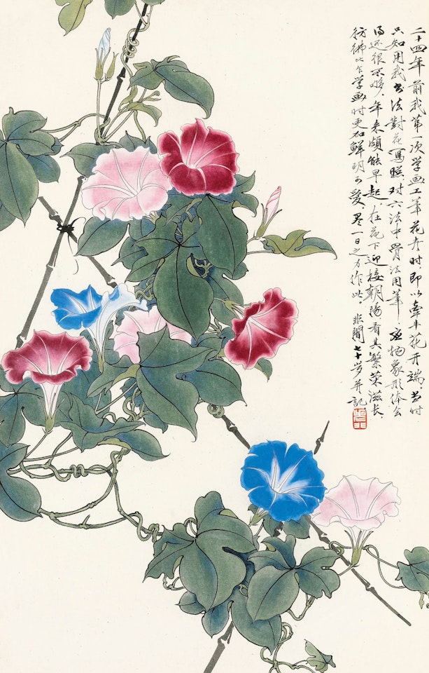 MORNING GLORIES by Yu Fei'an