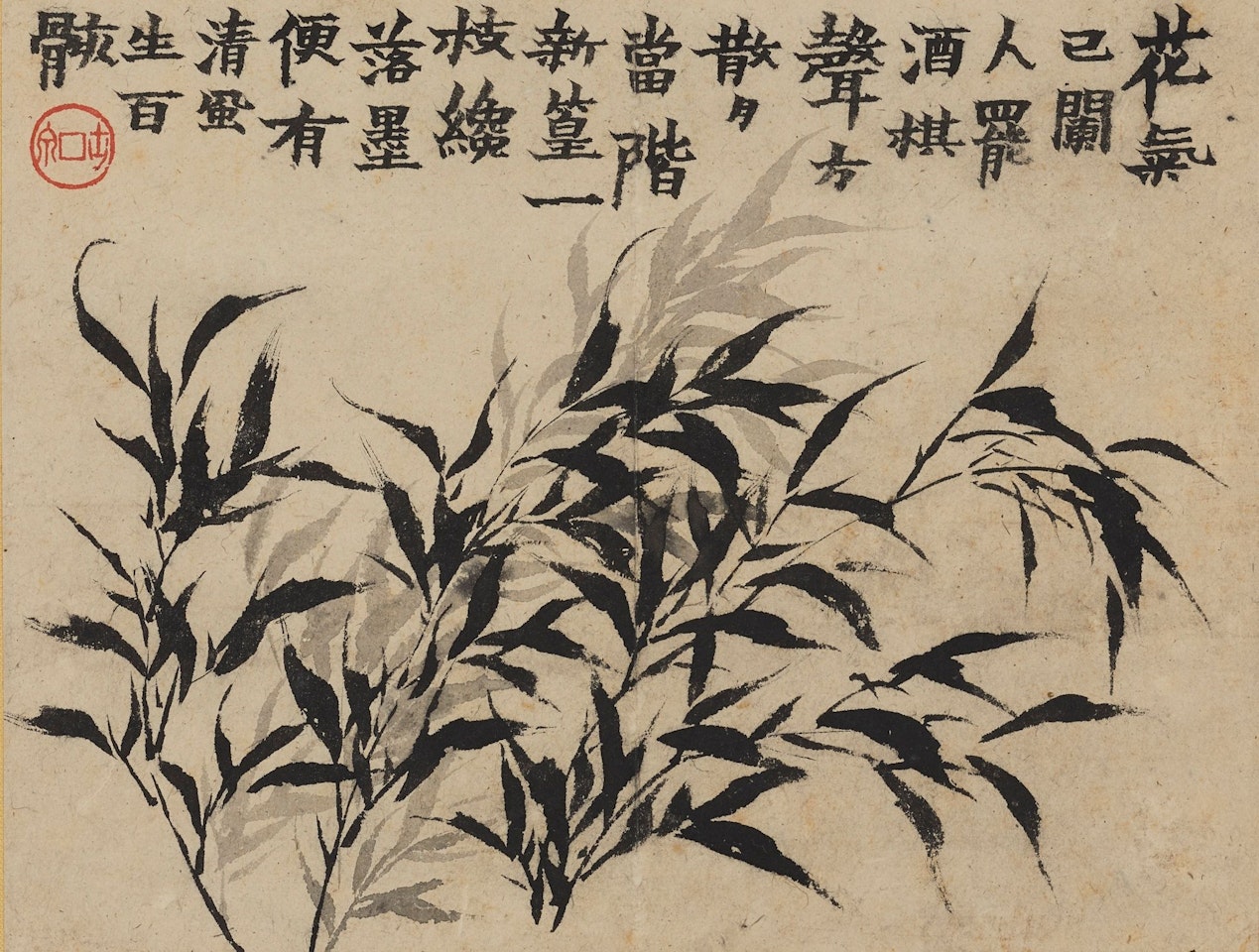 BAMBOOS by Jin Nong