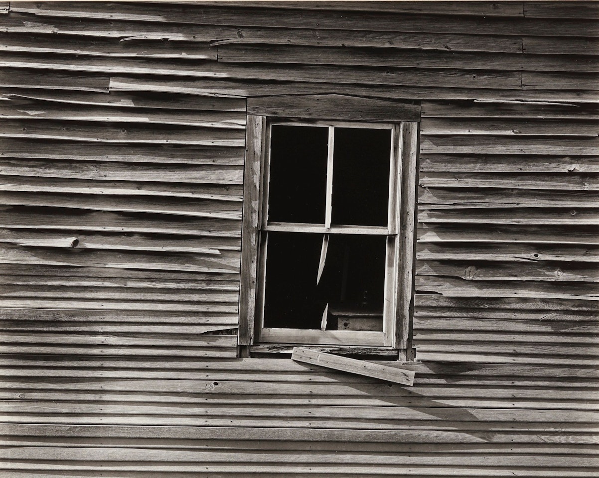 TAYLOR, ARIZONA by Frederick Sommer