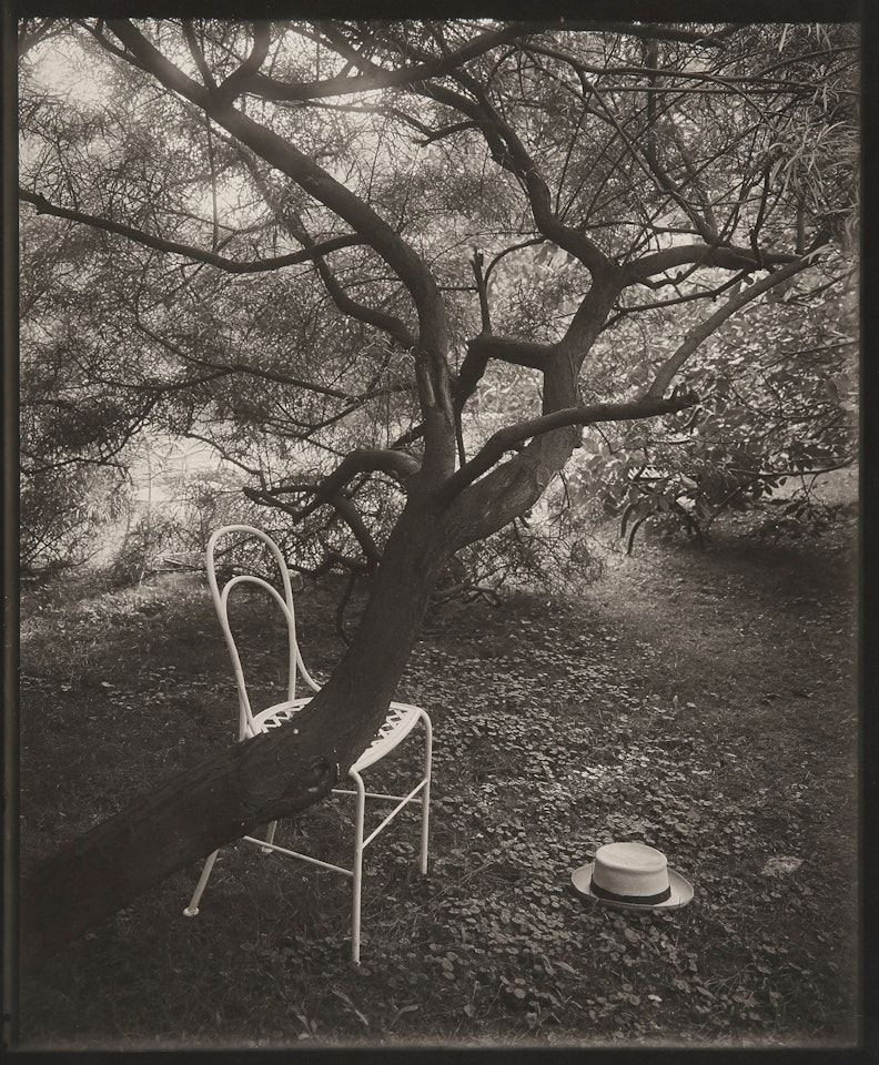 SIESTA (A WALK IN THE MAGIC GARDEN) by Josef Sudek