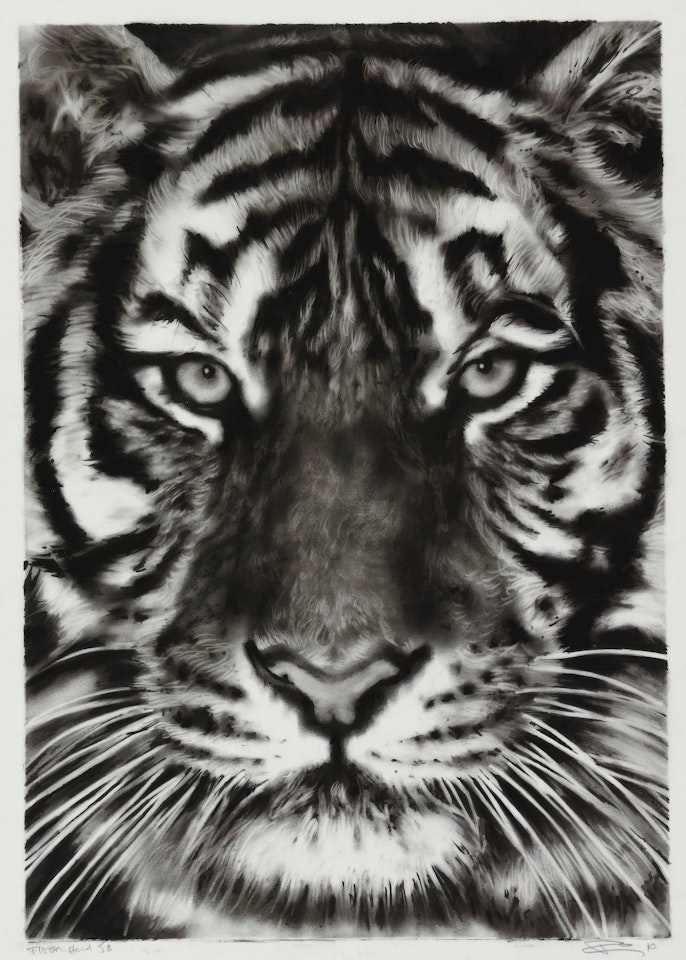 TIGER HEAD 5B by Robert Longo