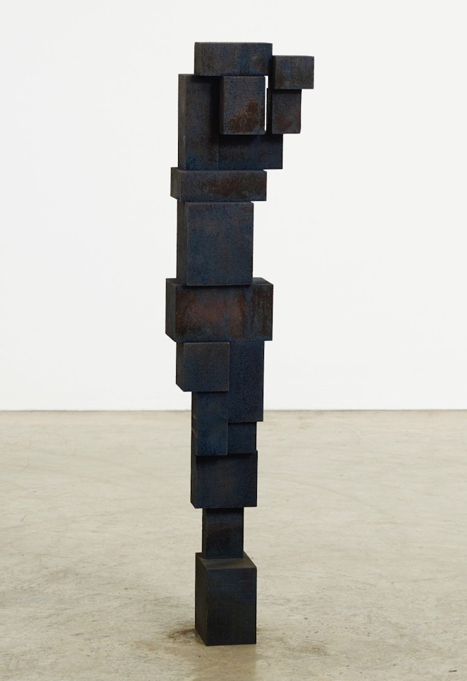 SMALL GAUGE III by Antony Gormley