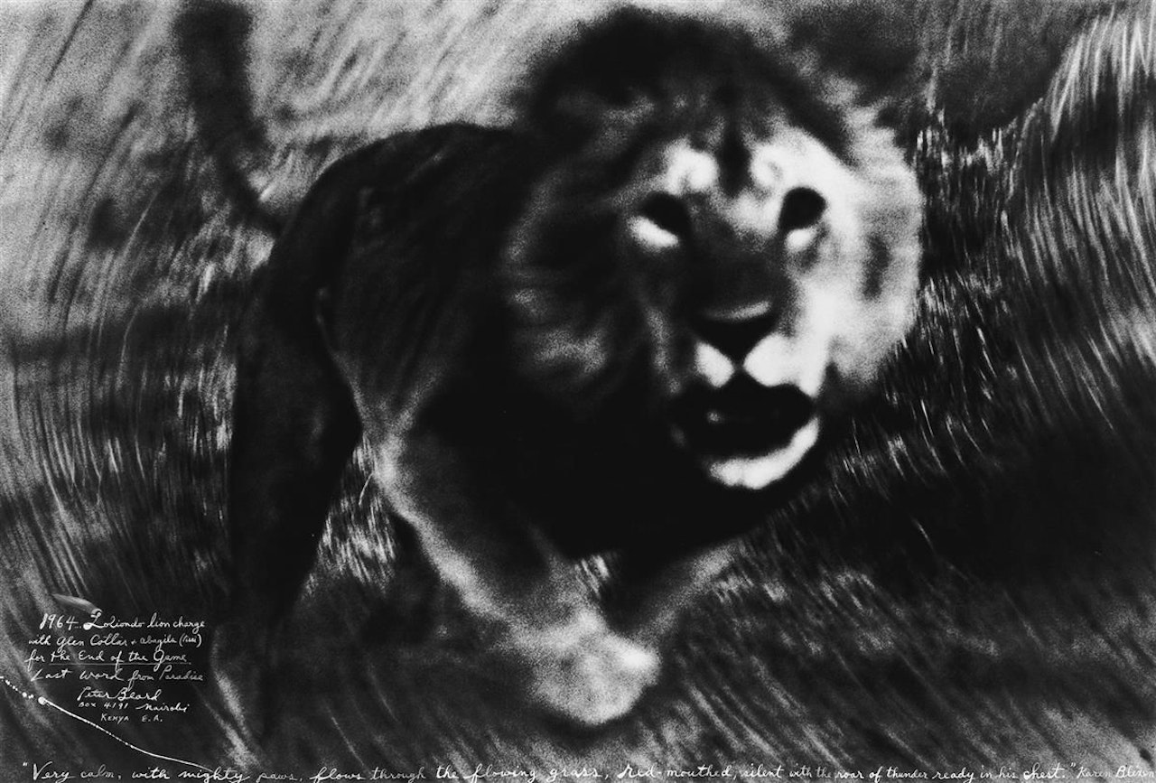 Charging Lion, Tanzania by Peter Beard