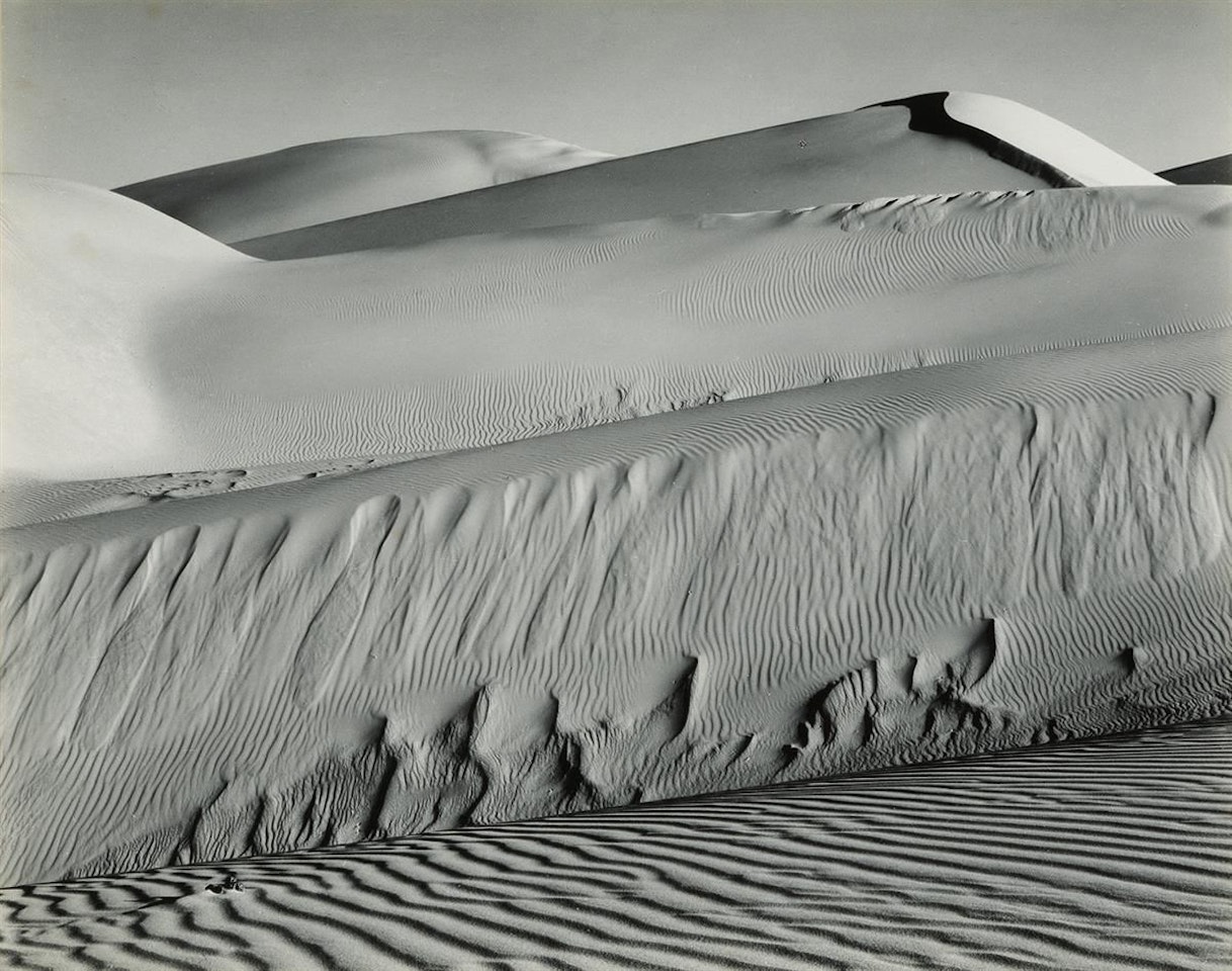 Dunes, Oceano by Edward Weston