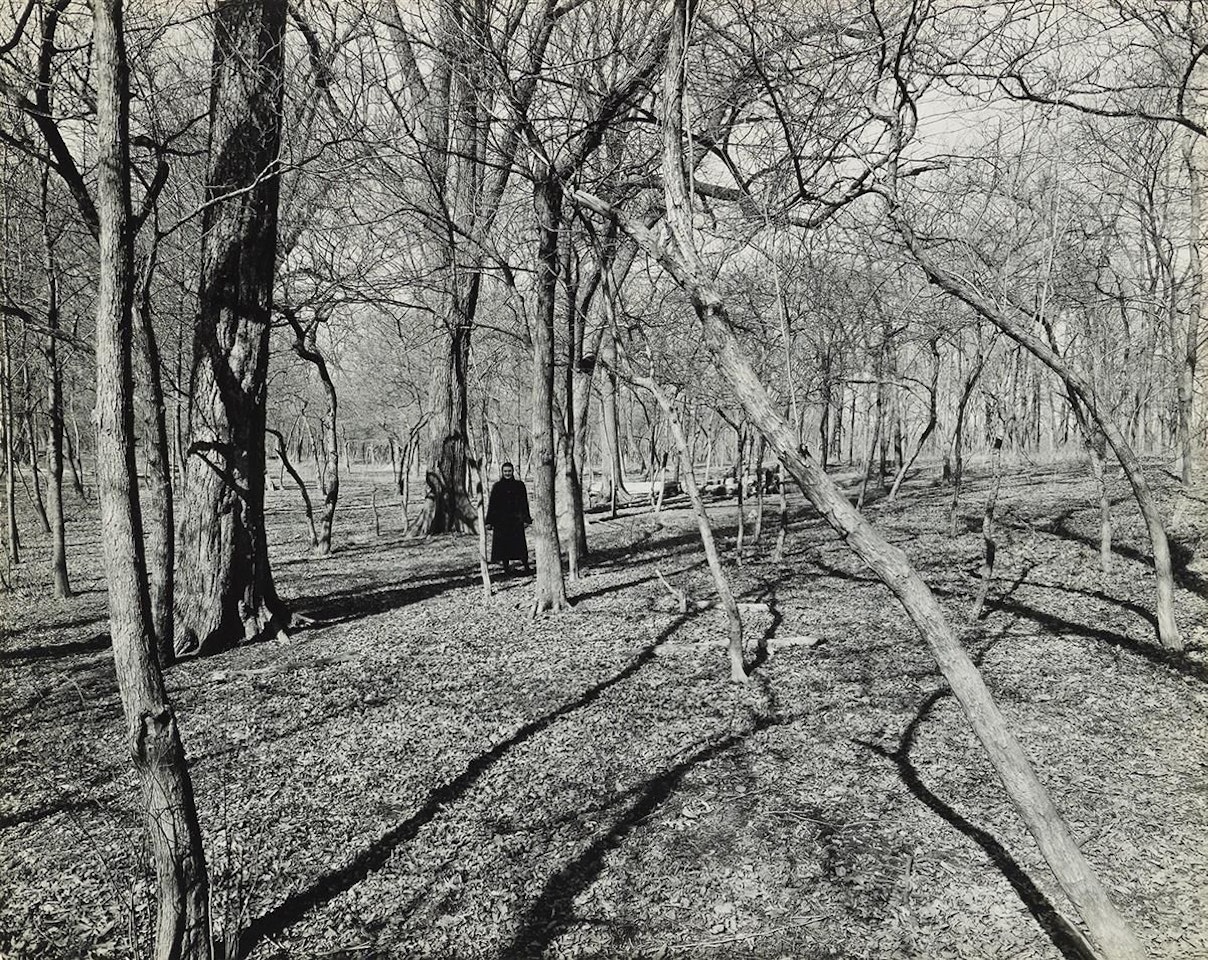 Eleanor, Chicago by Harry Callahan