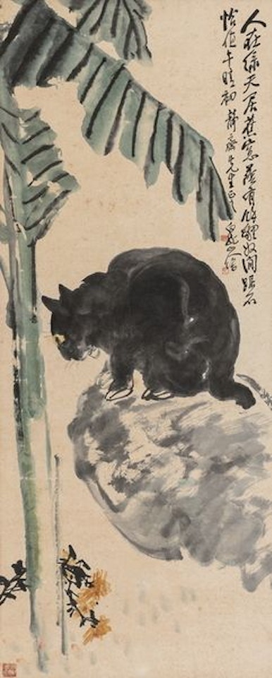 Banana shade raccoon by Wang Zhen