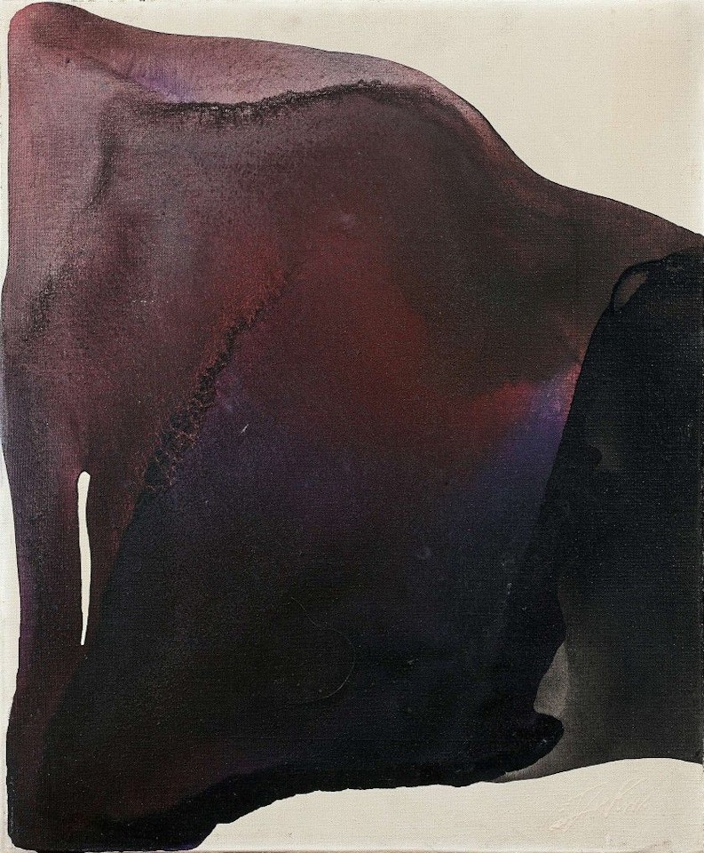 PHENOMENA FOR LAYURUS by Paul Jenkins