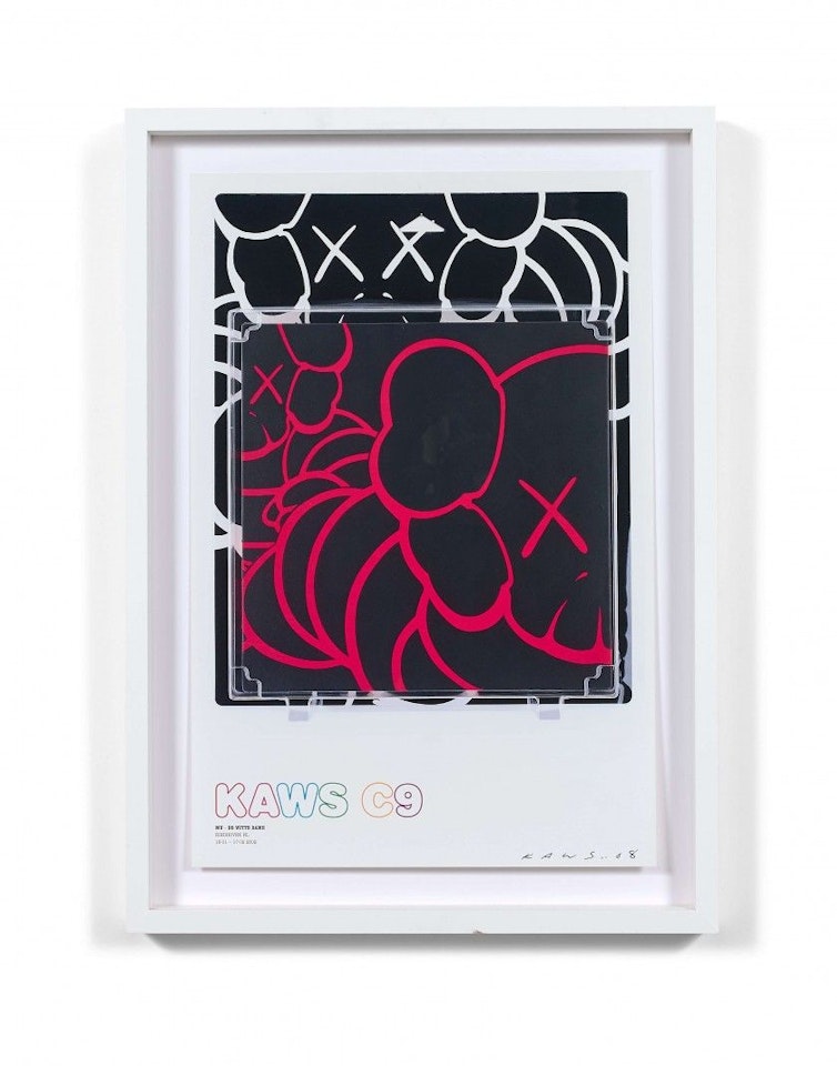 Kaws C9 by Kaws