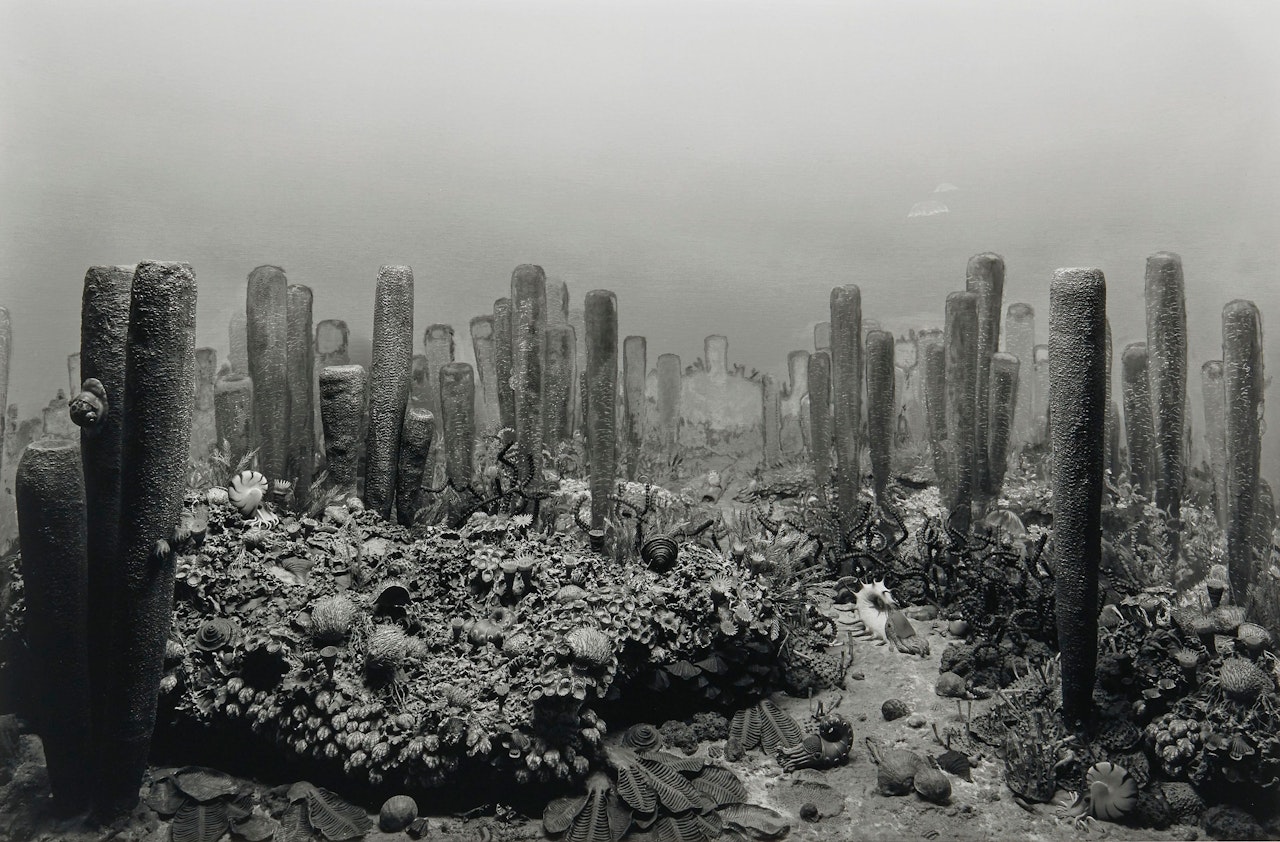 Permian Period by Hiroshi Sugimoto