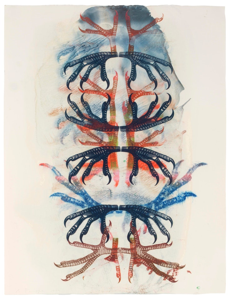 Falcon Claws by Philip Taaffe