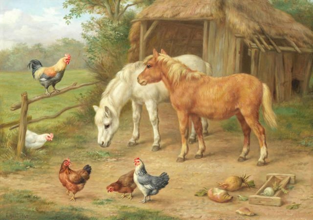 The pecking order by Edgar Hunt