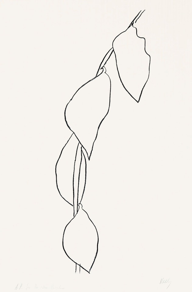 Lemon Branch by Ellsworth Kelly
