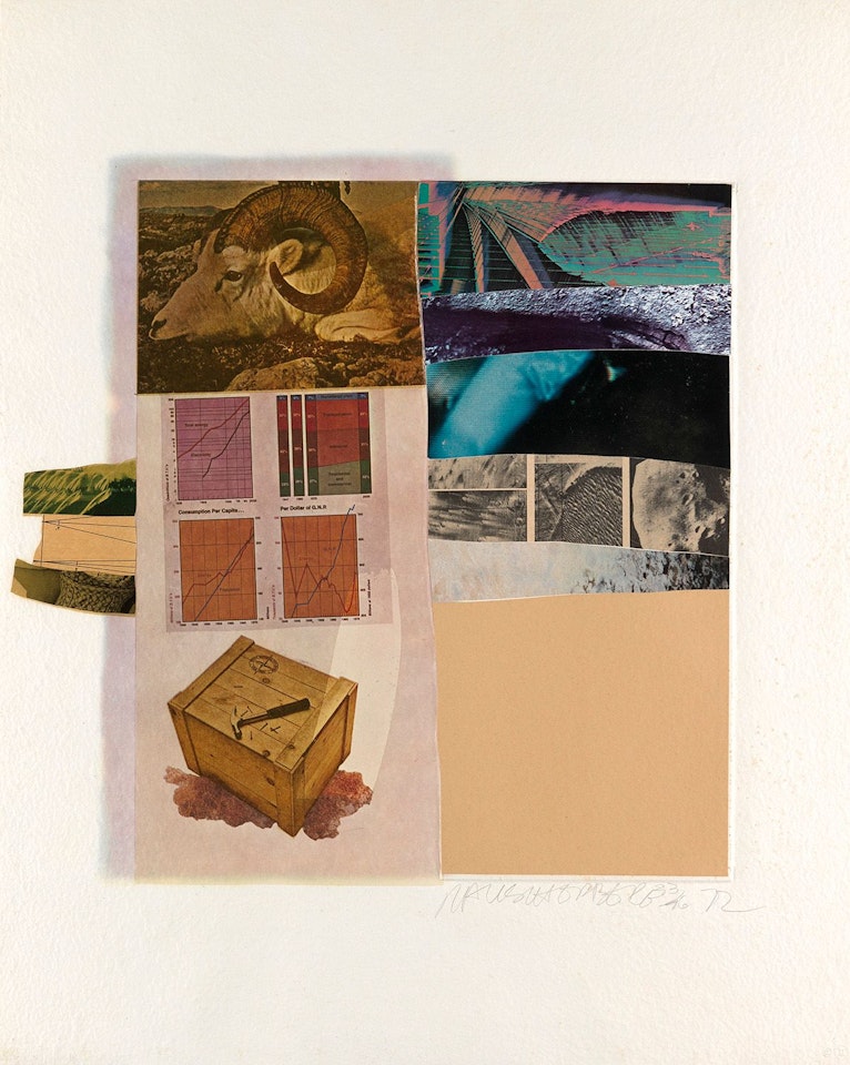 Horsefeathers Thirteen--i by Robert Rauschenberg