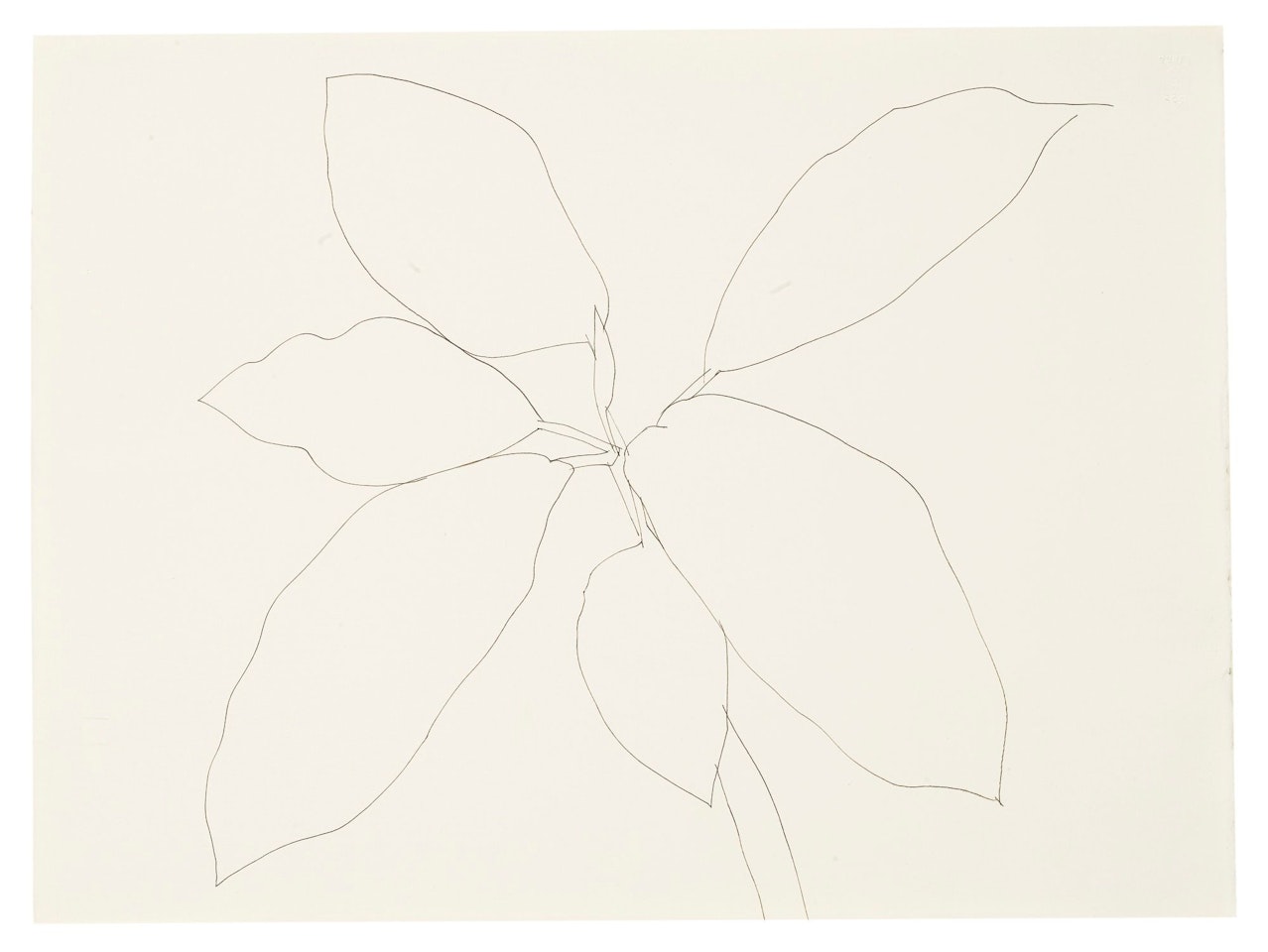 TROPICAL PLANT by Ellsworth Kelly