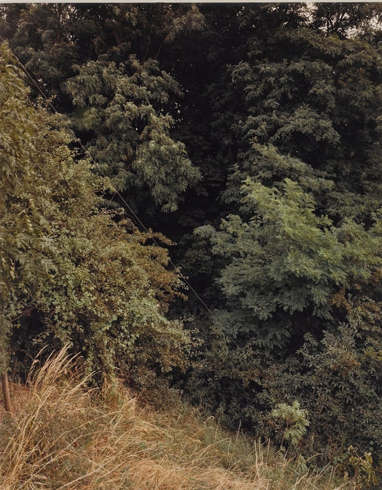 KREFELD by Andreas Gursky