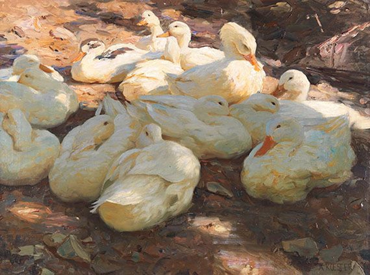 Liegende Enten - Licht und Schatten by Alexander Koester