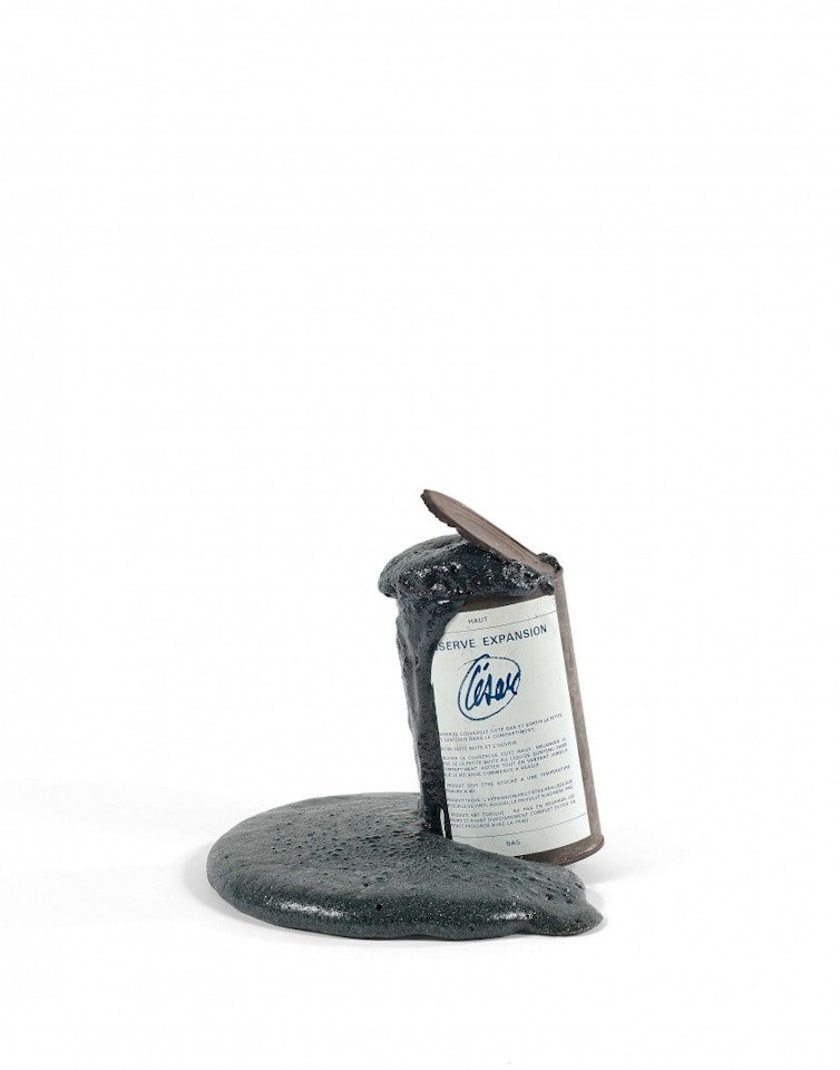 Canned Expansion (From the Vision Food Series) by César