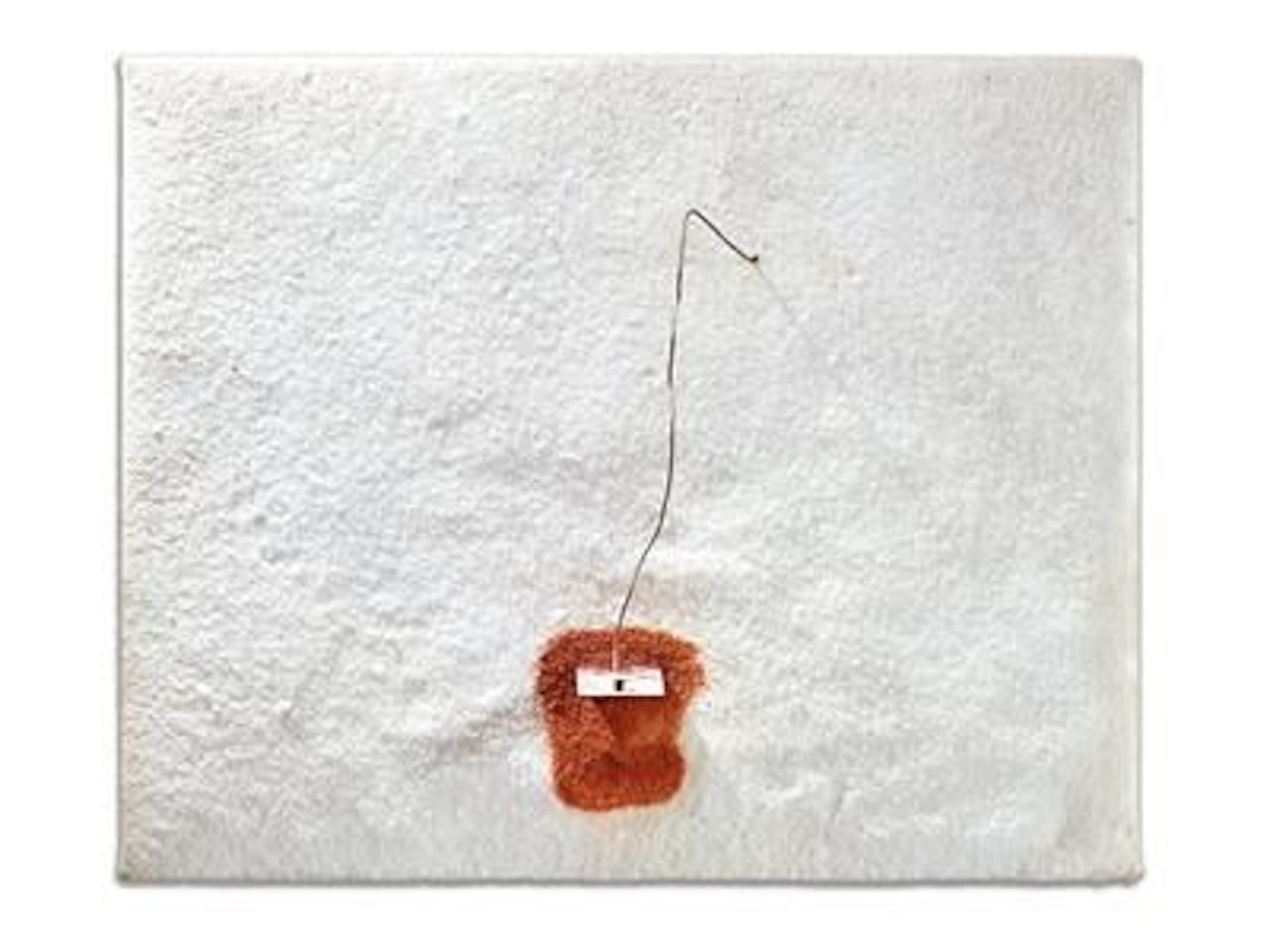 Studio by Pier Paolo Calzolari