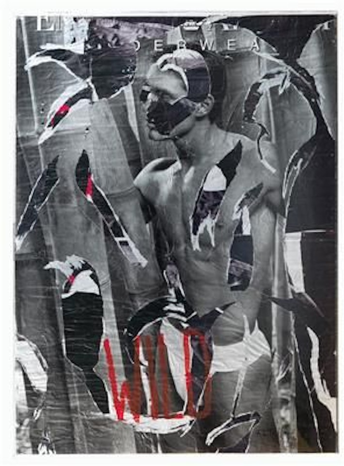 Wild by Mimmo Rotella