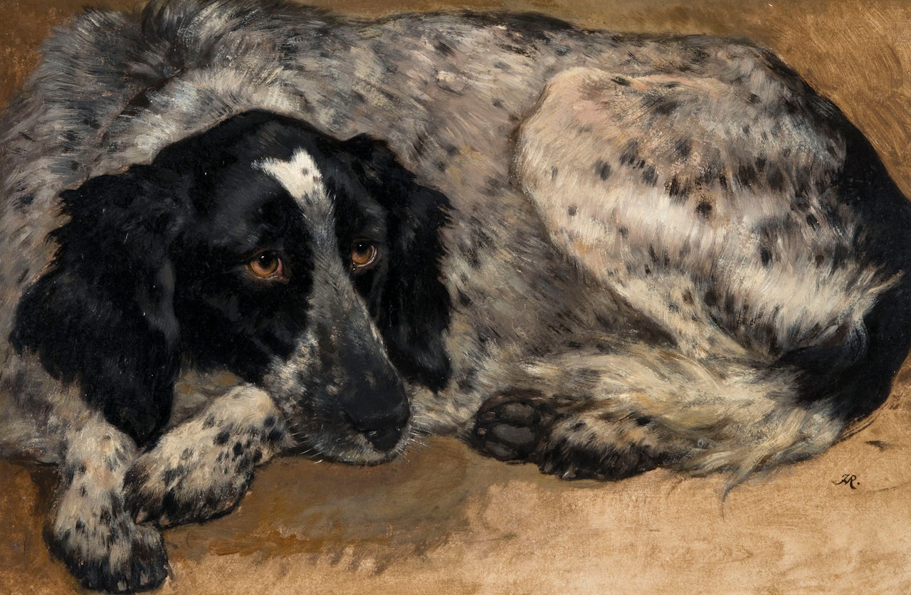 A reclining Spaniel by Henriette Ronner-Knip