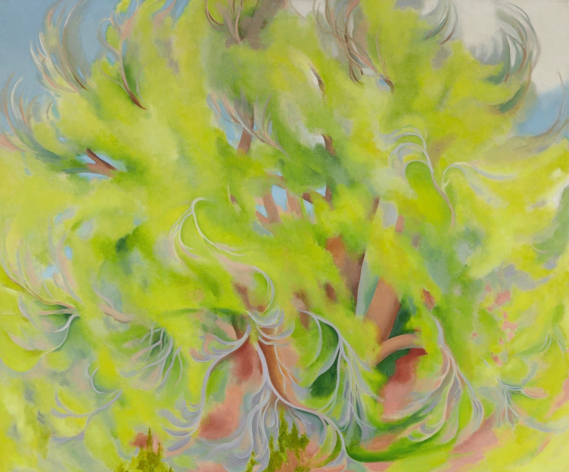 COTTONWOOD TREE IN SPRING by Georgia O'Keeffe