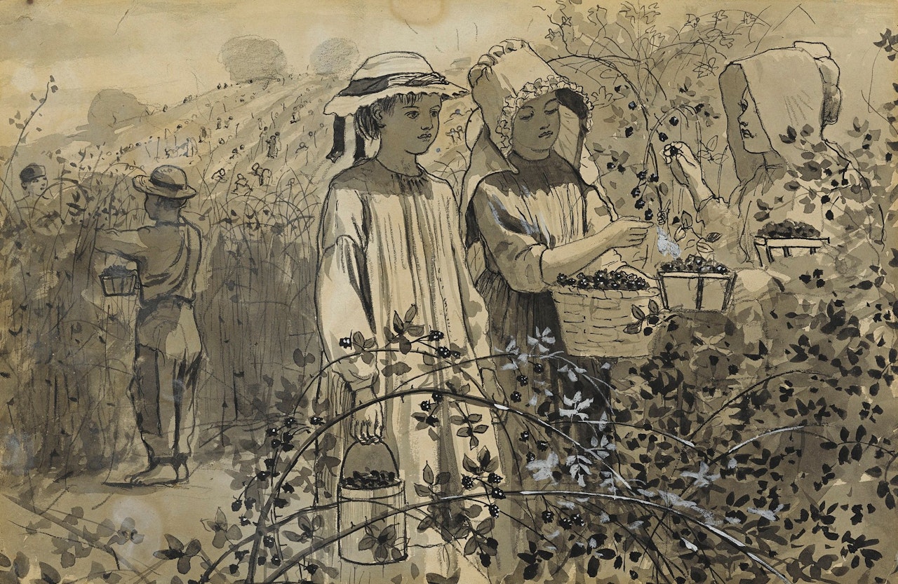 GATHERING WILD BLACKBERRIES by Winslow Homer