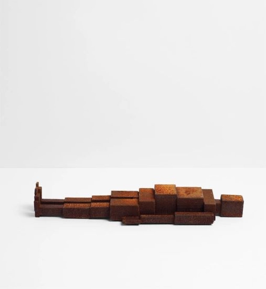 Meme CIII by Antony Gormley