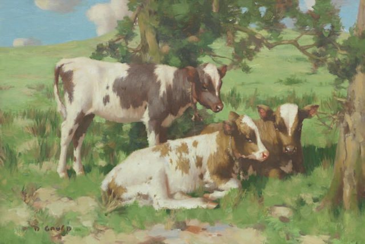 Three Calves, Summer by David Gauld