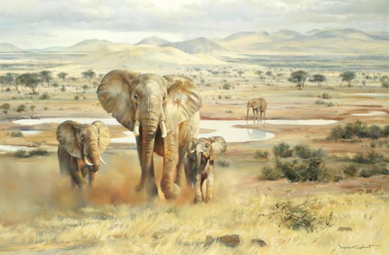 Elephants by Donald Grant