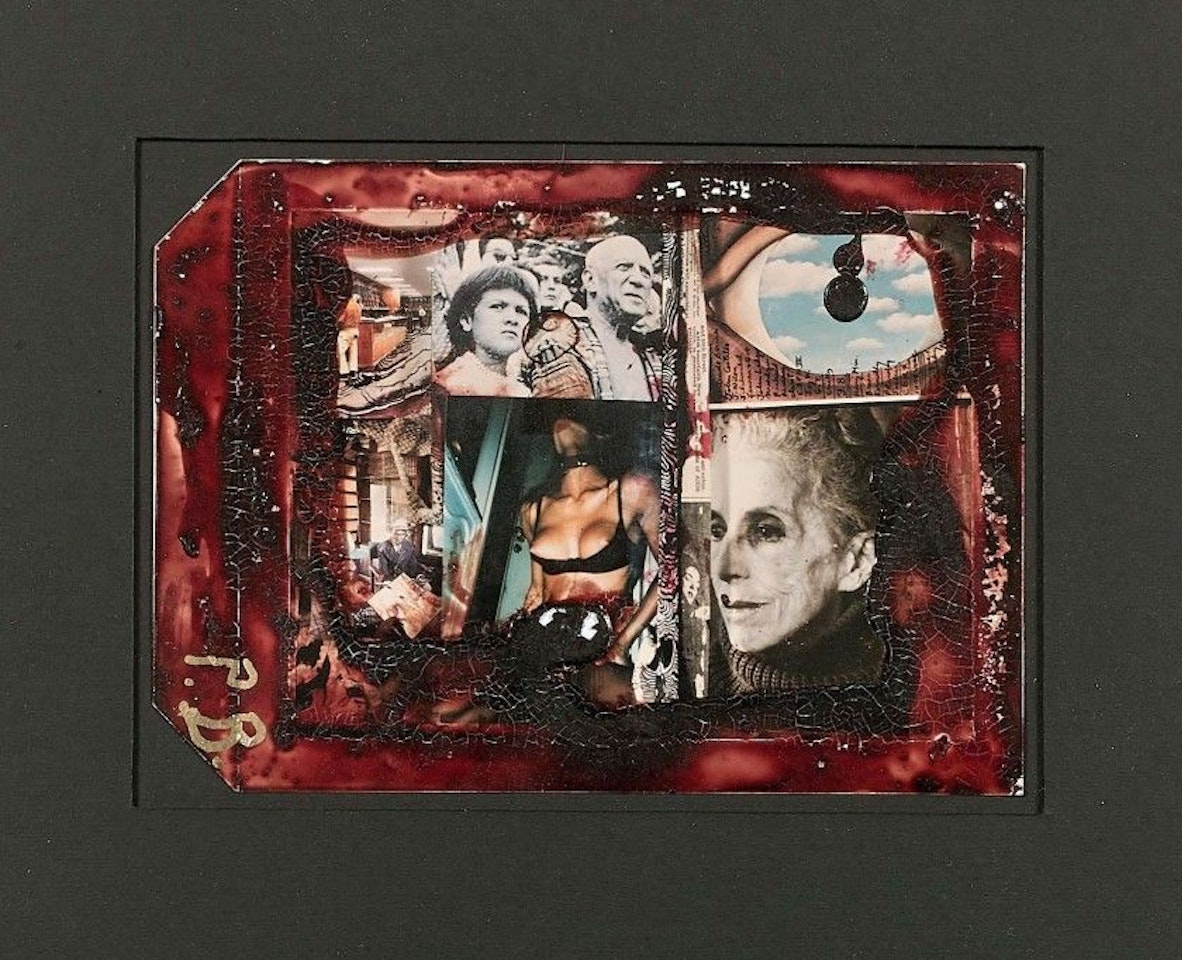 EYE FOR LIVING SCULPTURE by Peter Beard