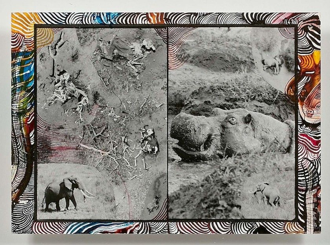 OVERPOPULATION & THE GARDENERS OF EDEN, STARVO & LAKE IDI AMIN by Peter Beard