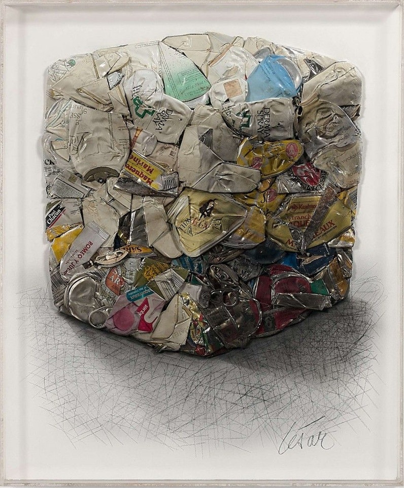 PORTRAIT OF COMPRESSION by César