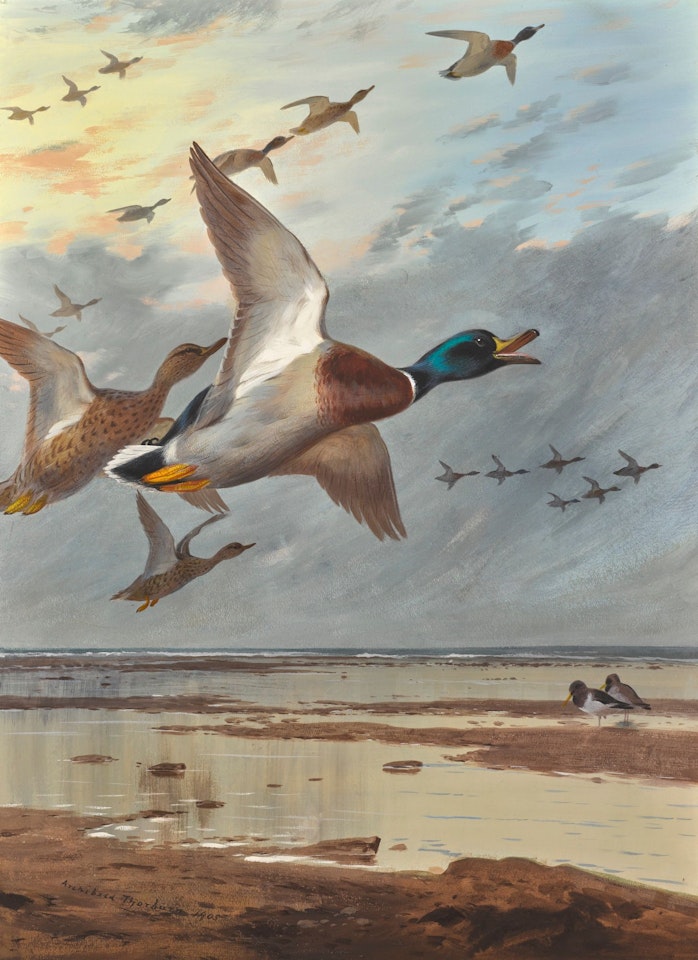 COMING IN FROM THE SEA by Archibald Thorburn