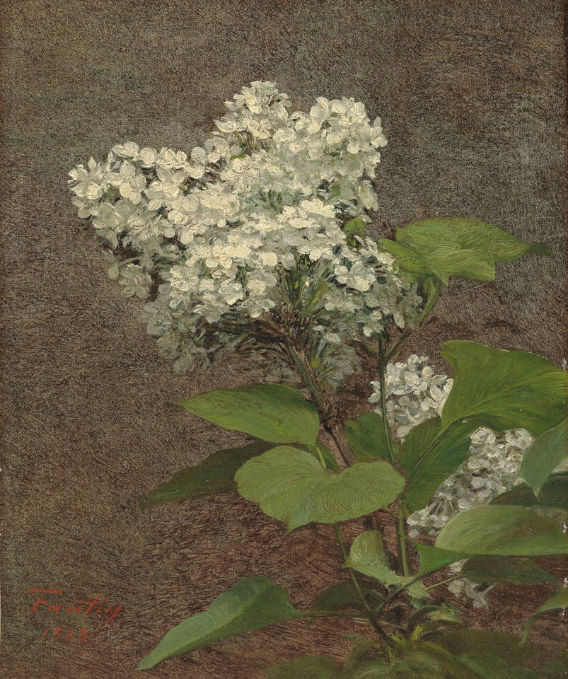 White Lilacs by Henri Fantin-Latour