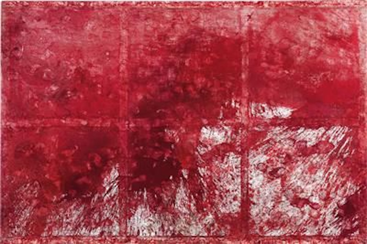 Action Painting, 41dt paint action by Hermann Nitsch